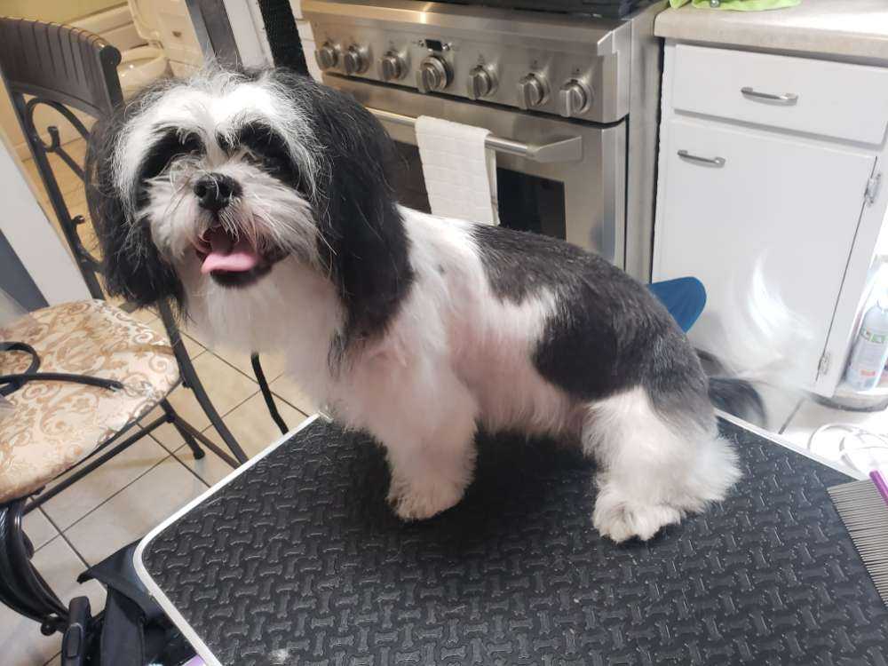 Bella