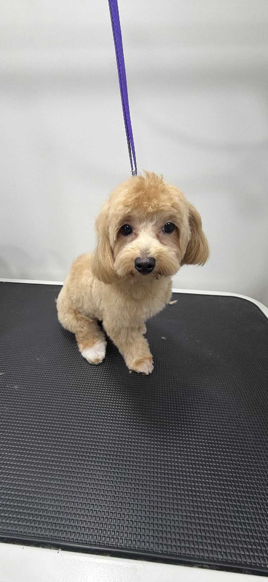 Chloe