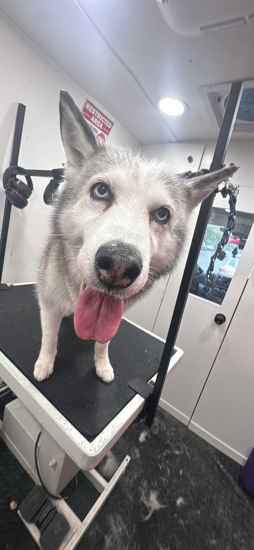 Luna